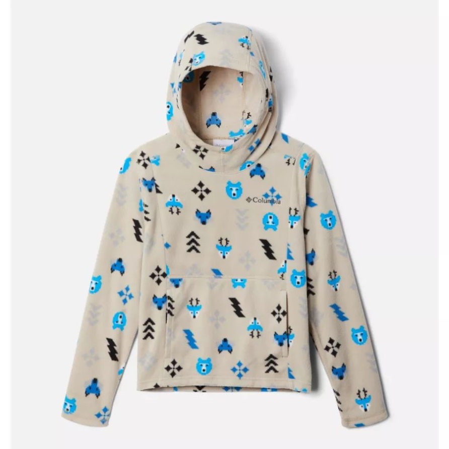 Der Eiszeitliche Hoodie Der Alten Versteinerten Waldland-Kolumbien-Jungen