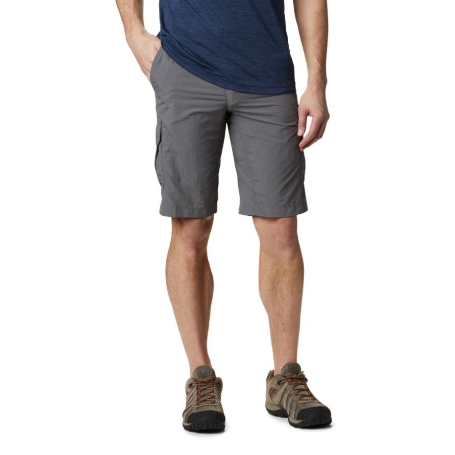 Columbia Stadtgraue Silber Ridge Ii Cargo-shorts Für Herren