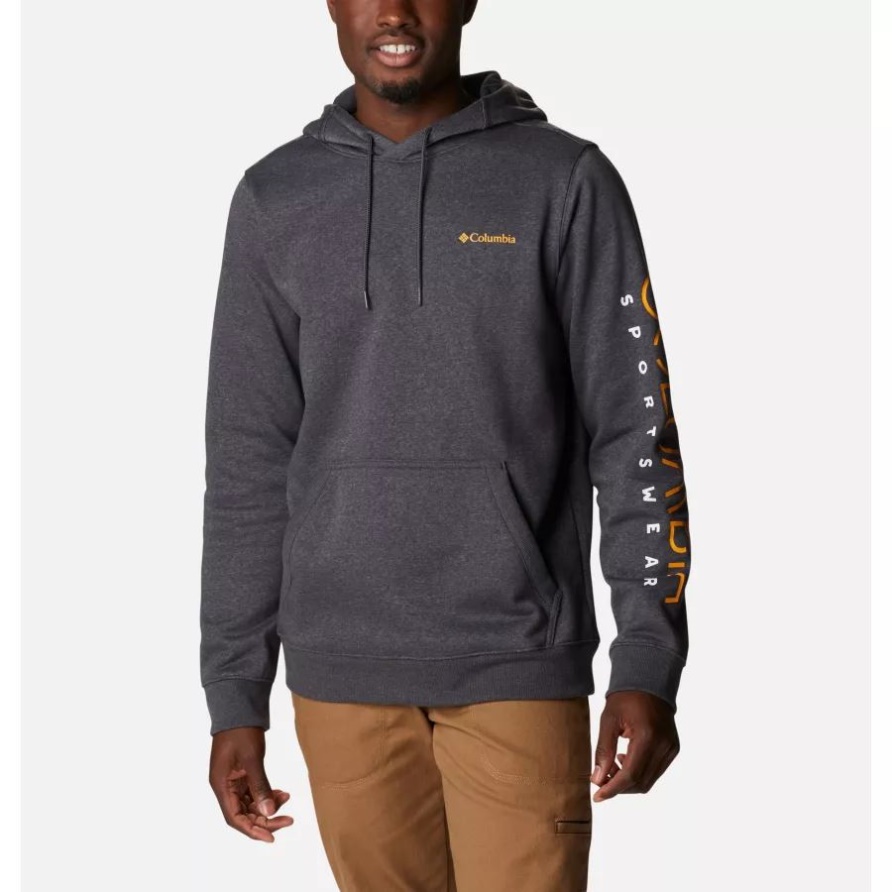 Kapuzenpullover Csc Basic Logo Ii Für Herren Columbia Shark Heather/Columbia Stencil Sleeve
