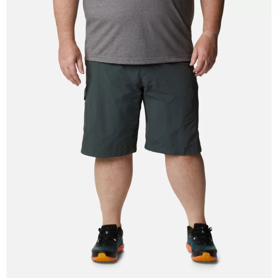 Herren Silver Ridge Cargoshorts Big Grill Columbia