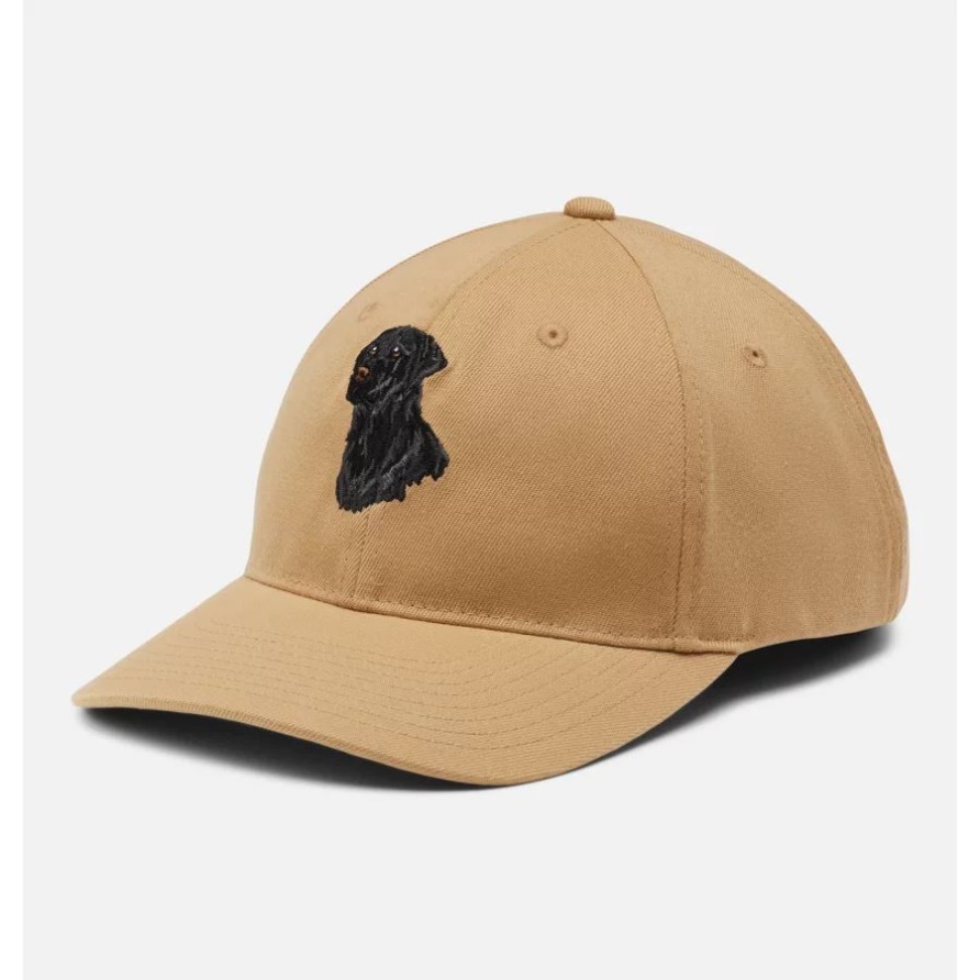 Phg Sharptail Dad Cap Columbia Sahara/schwarzes Lab