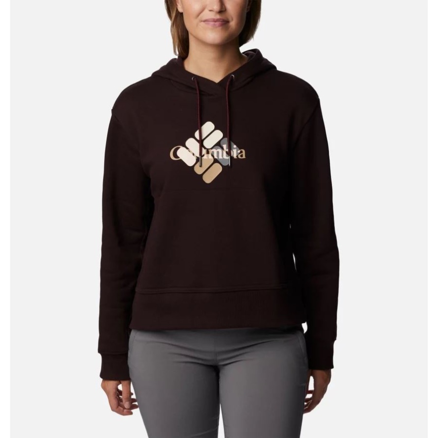 Columbia Lodge Hoodie Der Frauen Neue Asche/Edelstein Multi Kolumbien